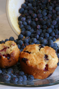 Blueberry Muffins