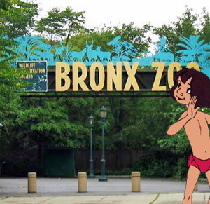 Bronx & Mowgli