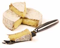 Camembert cheese