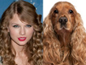 Celebrities that resemble animals