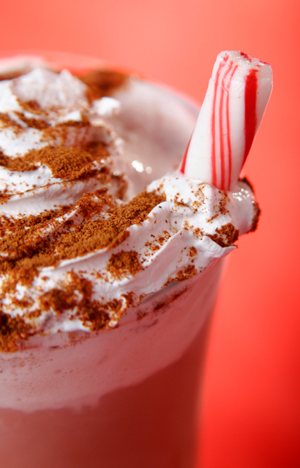 Delightfully Chocolate and Peppermint