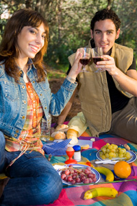 Couple at Picnic