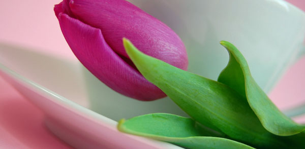 tulip coffee cup for mother's day