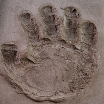 Baby Handprint