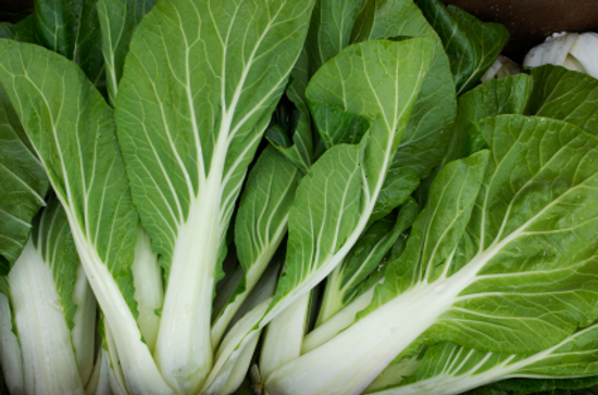Bok choy