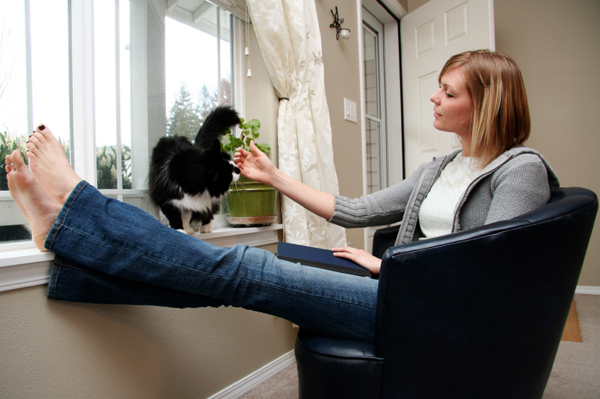 woman petting cat on windowsill