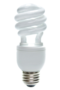 Compact Fluorescent Lightbulb