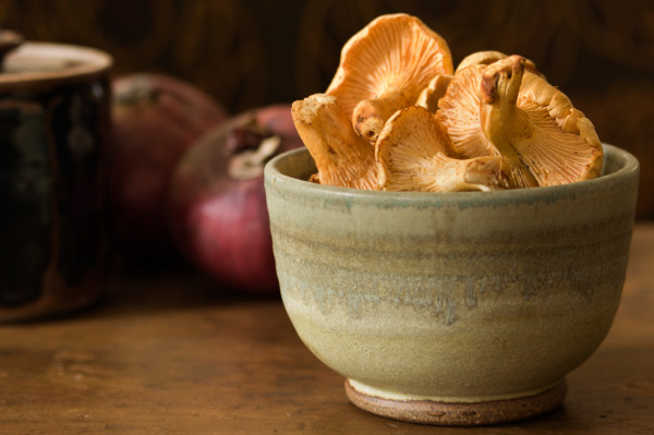 Chanterelle+mushroom+season