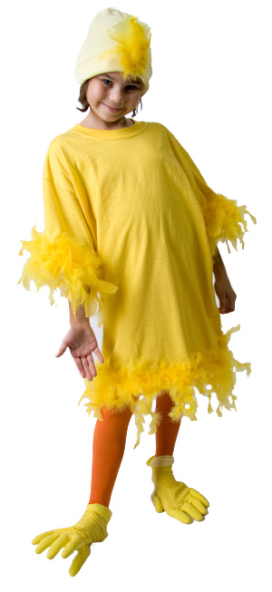 Chicken Costume