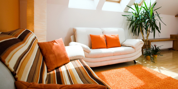 Modern Living Room