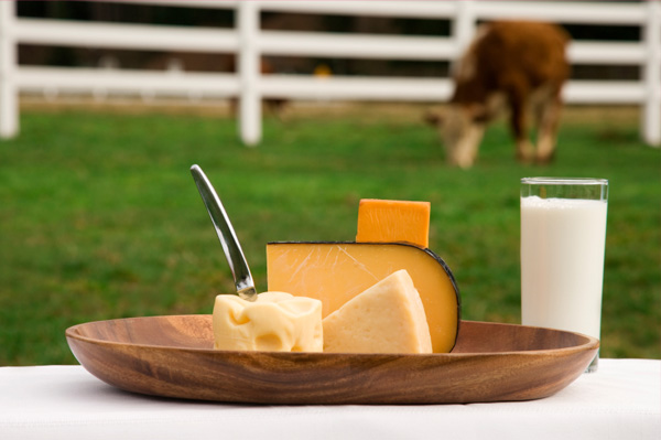 Organic Cheese
