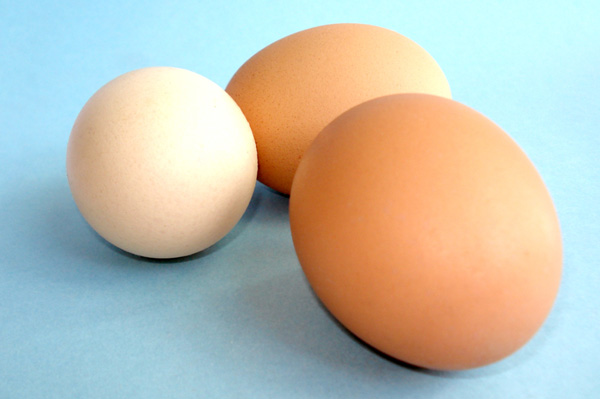 Eggs