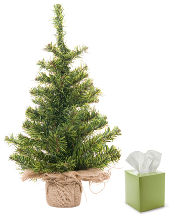 Evergreen and Tissues
