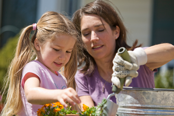 Gardening on a Budget