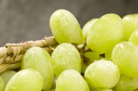 Grapes