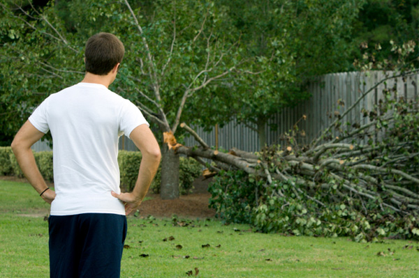 Hurricane Damage
