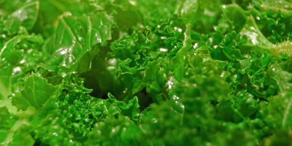 Kale