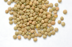 Lentil soup