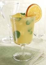 Mint Agave