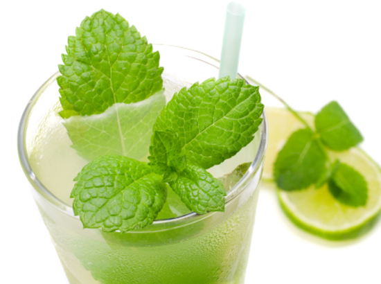 mojito