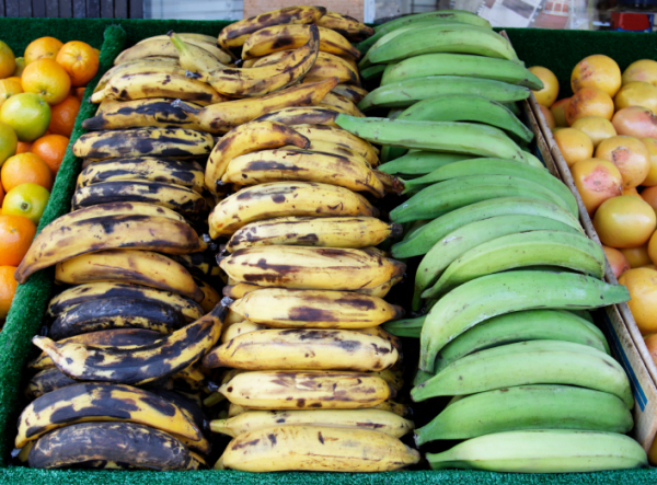 African Plantain
