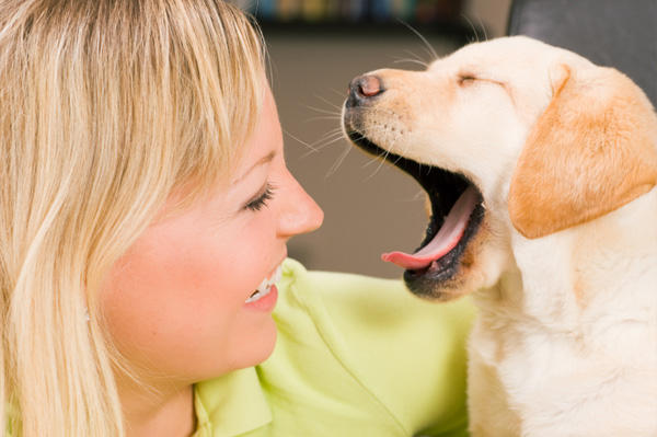 Yawning Puppy