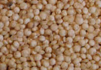 Quinoa Grain