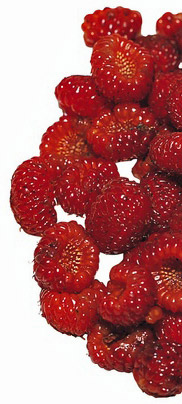 raspberry sangria recipe