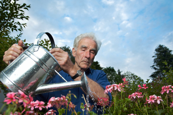 Older Man Gardening