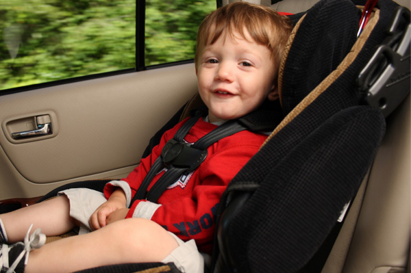 Toddler in Car