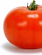 Tomato tomahto