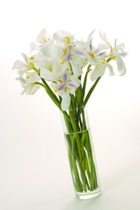 Flowers in a vase