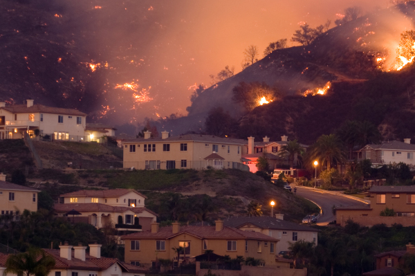 Wildfire