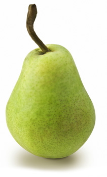 winter pear