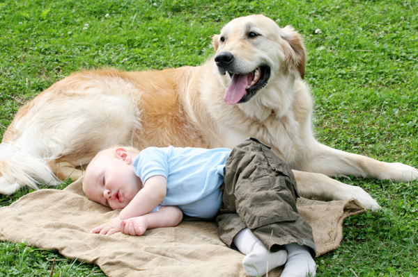 http://cdn.sheknows.com/articles/dog-and-baby.jpg