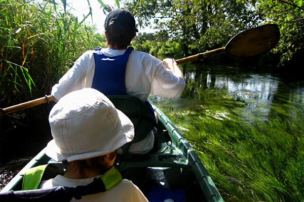 Eco-Friendly Vacations 