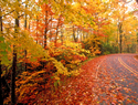 Fun activities for the first day of fall