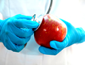 How to tell if your food is fresh