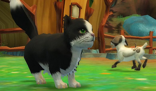 Free Realms pets teaches lessons