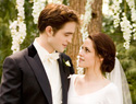 Get a Twilight-inspired wedding