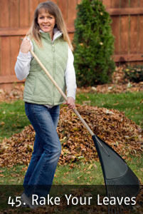 Rake Your Leaves