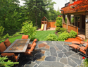New options for your lawn: Alternatives to grass