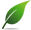 green leaf - eco-friendly alternatives