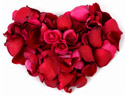 Planning a beautiful wedding on a shoestring budget
