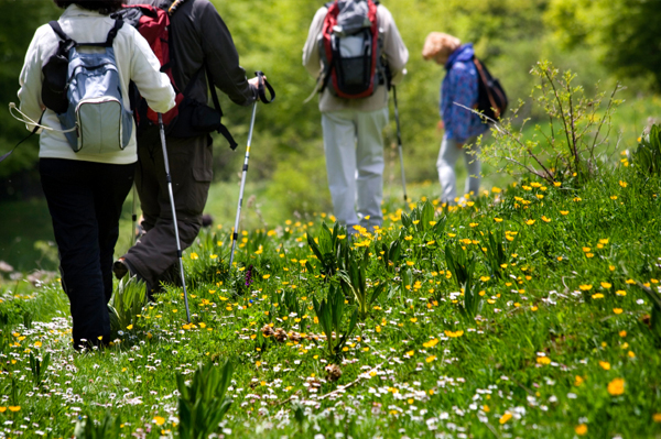 Hiking Group