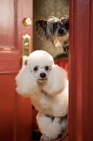 Dogs provided a unique challenge for the special effects wiz