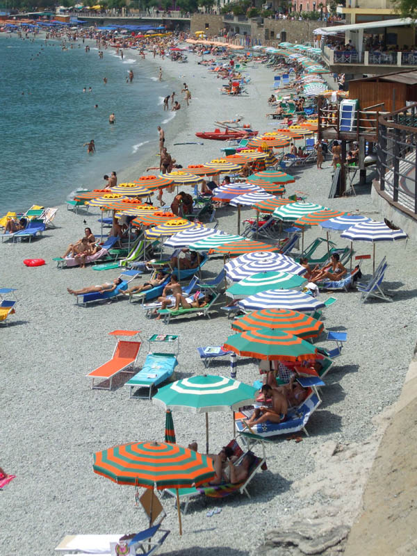 Flowers sandy eaches fence best beaches in italy. Flowers sandy eaches fence