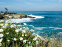 Top 20 romantic getaways for Valentine's Day in the US