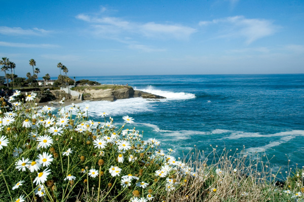 La Jolla Coastline