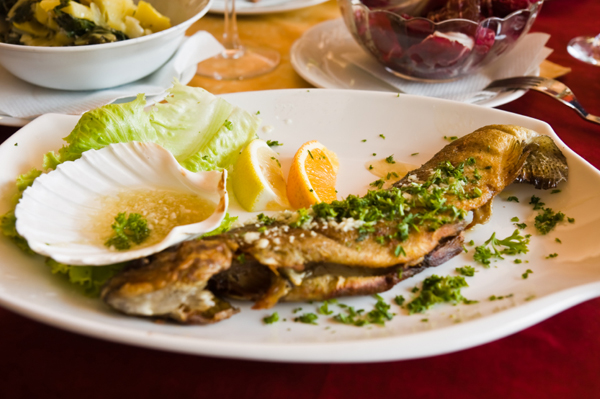 Lemon Trout
